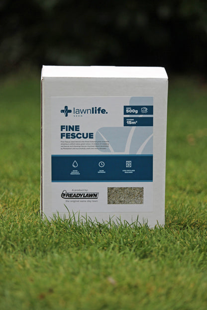 Lawnlife Fine Fescue Grass Seed