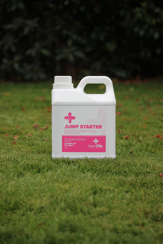 LawnLife Jump Starter Granular Lawn Food