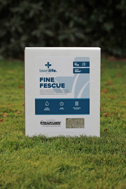 Lawnlife Seed Fine Fescue product on grass