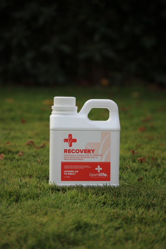 Lawnlife Recovery Liquid Lawn Food